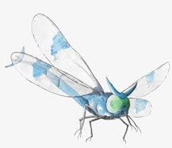 Maybe you would like to learn more about one of these? Svg Transparent Download Dragonflies Drawing Realistic Yanma Png Image Transparent Png Free Download On Seekpng