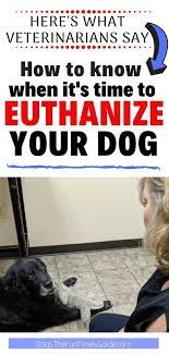 How Do You Know When It S Time To Euthanize Your Dog My Experience Personally And While Working For A Vet Putting Dog To Sleep Senior Dogs Care Dog Illnesses