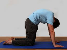 Pin On Yoga A Holistic Way Of Life