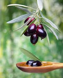 Huile D Olive Utilisation Cosmetique Femininbio