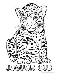 Explore 623989 free printable coloring pages for your kids and adults. How To Draw A Cute Jaguar Shefalitayal