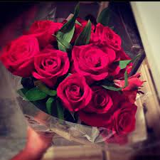 I was just discussing with my friend how unapologetically into the guys in eyeliner trend of the 2000s we are, do you have a favourite brandon flowers eyeliner photo i can my boyfriend just said he's going to dress up as ron weasley in his quidditch uniform for halloween so i can call him a keeper. When My Boyfriend Puts Roses On My Doorstep For No Reason Rose Flowers Plants