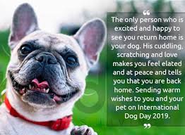 See more ideas about international dog day, dog quotes, dogs. Happy National Dog Day Images Memes Pictures To Celebrate