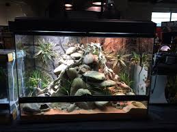 Exo Terra Exo Terra Added A New Photo At Fairplex Vivarium Reptile Terrarium Leopard Gecko Habitat