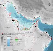 Image result for Rouge Marina 1985 UMM