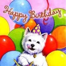 Happy Birthday Westie Westie Dogs Animal Birthday Birthday Wishes For Daughter