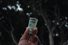 Find Top 7 Whole Life Insurance Companies For Cash Value