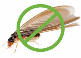 We have 4 terminix termite & pest control locations with hours of operation and phone number. Termite Inspection Control In Raleigh Nc Sage Pest Control