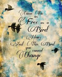 Bird Bird Bird Bird Is The Word Lyrics Free Bird Etsy Music Quotes Lyrics Song Lyric Quotes