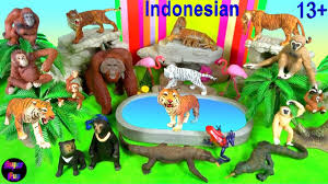 Many of indonesia's most iconic species are now threatened by urbanization and deforestation, particularly from agriculture. Indonesian Animals Komodo Tiger Rhino Elephant Orangutan Leopard Babirusa Monkey 13 Youtube