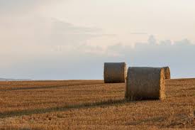 Fardos Redondos De Palha Em Terras Agricolas Contra Um Ceu Azul Nublado Campo Segado Apos A Colheita De Trigo Foto Premium
