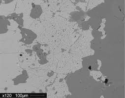 Assessment of grain-scale homogeneity and equilibration of carbon and  oxygen isotope compositions of minerals in carbonate-beari