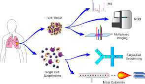 A vida e o amor ao lado do pior cao do mundo. Cancer Systems Immunology Elife