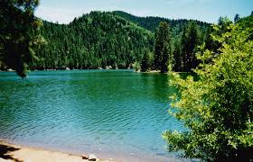 Fishing can be a great stress reliever | Ruidoso new mexico ...
