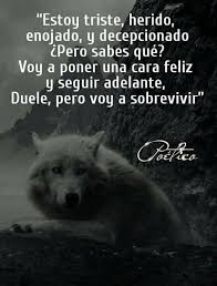 Como Siempre Frases De Vida Cortas Frases De Lobos Frases Motivadoras
