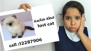 حملت قطة مولودها المريض بأسنانها إلى مستشفى في مقاطعة كاراباغلار التركية، ، أملاً في العثور على من يمد يد المساعدة لها. Ù‚Ø·Ø© Ø´ÙØ§ Ø¶Ø§Ø¹Øª Shfa Lost Our Cat Youtube