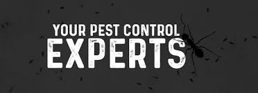 The company handles all sorts of pest infestations including mosquitoes, ticks. Expert Pest Control 9 Erie Dr Natick Ma Pest Control Mapquest