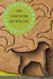 Using your hands, pat dough flat, about 1/2 inch in depth. 4 Ways To Make Your Own Hemp Cbd Dog Treats