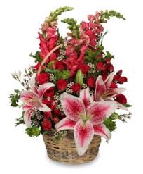 For many, they'll say it with flowers on valentine's day. Valentine S Day Flower Meanings