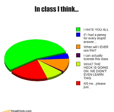 class college dumb i hate you all pie chart school