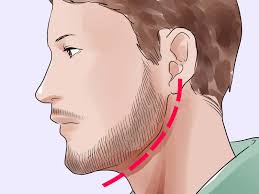 There are many different types of moustache, but all differentiate between hair grown exclusively on the upper lip and hair grown on other parts of the face. How To Maintain Stubble 10 Steps With Pictures Wikihow