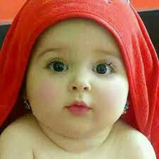 ali sheibani (@alisheibani3)