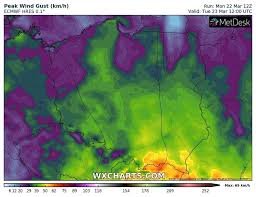 We wtorek, 23 marca cognor (cog) rozpoczął notowania od poziomu 2,98 zł, czyli takiego, na jakim zakończyła się poprzednia sesja. Tt Oiudvqqezm