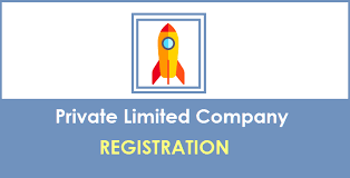 Private Ltd Company Registration A Complete Guide Smartauditor In 2020 Private Limited Company Raising Capital Company