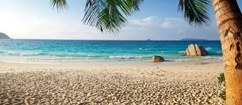 Things To Do In Goa Plan Your Tour With Enchanting Travels Ask for any travel agency in goa for an arrangement. things to do in goa plan your tour