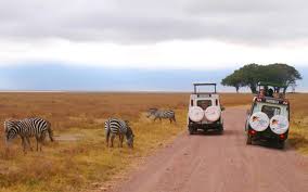 Image result for NEW SHOE FASHIONS IN TANZANIA-2017