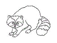 Select from 35915 printable crafts of cartoons, nature, animals, bible and many more. Raccoon Coloring Pages And Printable Activities