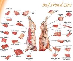 Pin On Beef