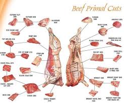 pin on beef