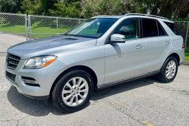 Image result for Selenite Gray 2015 ML