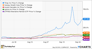 why is everyone talking about tilray stock the motley fool