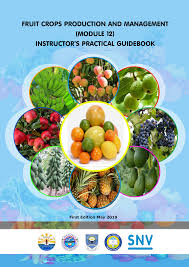 Fruit tree pollinator charts & general information. Https Snv Org Assets Explore Download Eth Fruit Crops Protection And Management Instructor Pdf