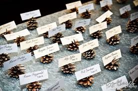 Pine Cone Wedding Ideas Fall Wedding Decorations Winter Wedding Decorations Wedding Themes Fall