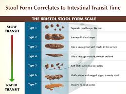 79 abiding poop chart what does it mean