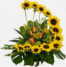 The flower grows from shrubs and typically blooms in mid to late summer. Common Sunflower Name Day Cut Flowers Flower Bouquet Flower Common Sunflower Name Day Cut Flowers Png Pngwing