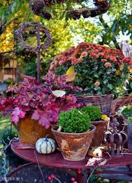 Hof 9 Doch Noch Ein Zwei Kurbisse Herbstgarten Herbst Dekoration Blumenarrangements