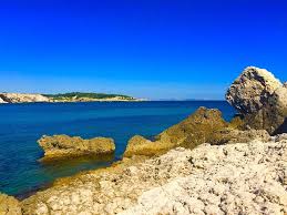 Shah and shalin shah to drive growth ahead of anticipated fda action. Camping Marius Campground Reviews Martigues France Tripadvisor