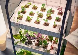 It allows anyone to grow fresh produce at home without the need for soil or any previous gardening experience. Ikea Moves Into Indoor Gardening With Hydroponic Kit Hydroponics Diy Garden Kits Hydroponic Gardening