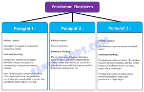 Ayo kita pelajari kunci jawaban tema 7 kelas 5 sd/mi subtema 1 pembelajaran 4 halaman 46 47 48 50 52 53 54 55 56 57 58 Kunci Jawaban Tema Ekosistem Kelas 5 Halaman 50 51 52 Sanjayaops