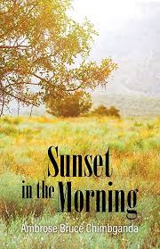 Sunset in the Morning: Chimbganda, Ambrose Bruce: 9781647495787:  Amazon.com: Books