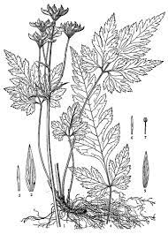 Epingle Sur Coloring Pages