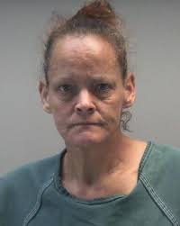 OAKES, NICOLE LYNN 53 White Female Arresting Agency: HUBER HEIGHTS PD  CHARGES BREAKING AND ENTERING