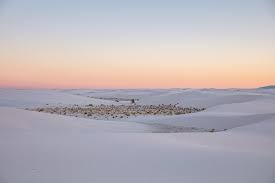 Hours of operation vary throughout the year. A Photographic Journey Through White Sands The Adventures Of Nicole