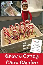 Legend of a candy cane printable candy canes Fun Elf Idea Magic Candy Cane Christmas Garden Free Printable Poem Mama Cheaps