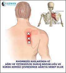 * bir el yumruk yapılarak, baş parmak çıkıntısı midenin üst kısmına, göğüs kemiği altına gelecek şekilde yerleştirilir. Rhomboid Kasi Kurek Uzman Fizioterapi Klinigi Facebook