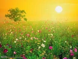 National Geographic Wallpaper Amazing Nature Wallpapers Paisajes Plantas Jardin Disenos Creativos